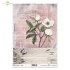 peonia, peonie, kwiat, biały, biel, deska, deski, motyl, R988, peony, peonies, flower, board, butterfly, white peony, background, Pfingstrose, Blume, Brett, Schmetterling, weißen Pfingstrose, Hintergrund, Aquarellflecken, peonia, flor, tabla, mariposa, co
